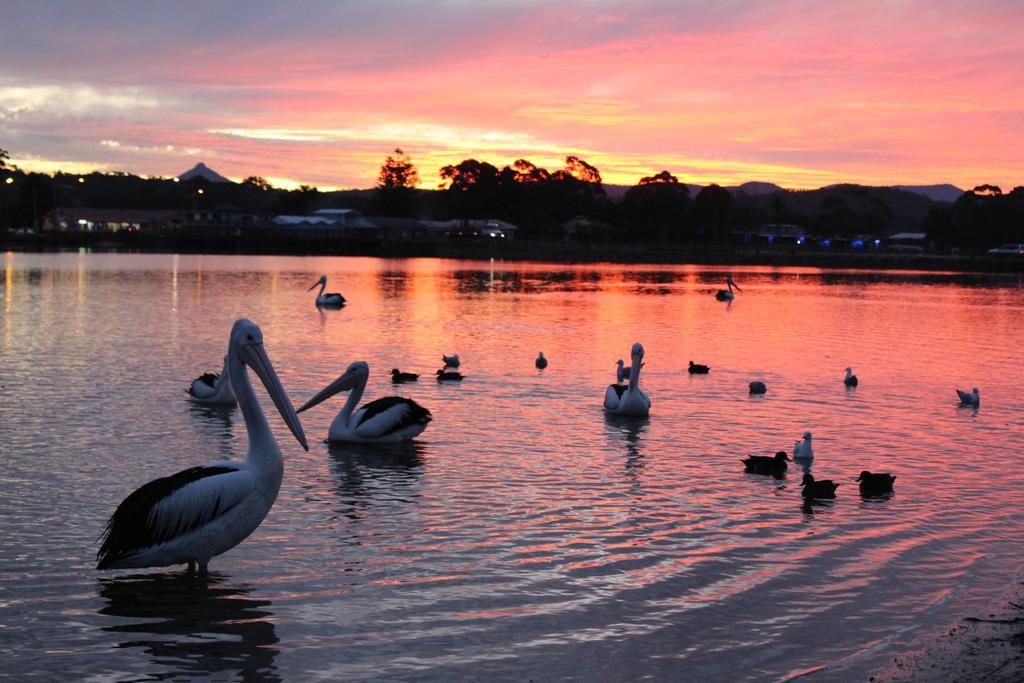 Holiday Haven Burrill Lake Luaran gambar